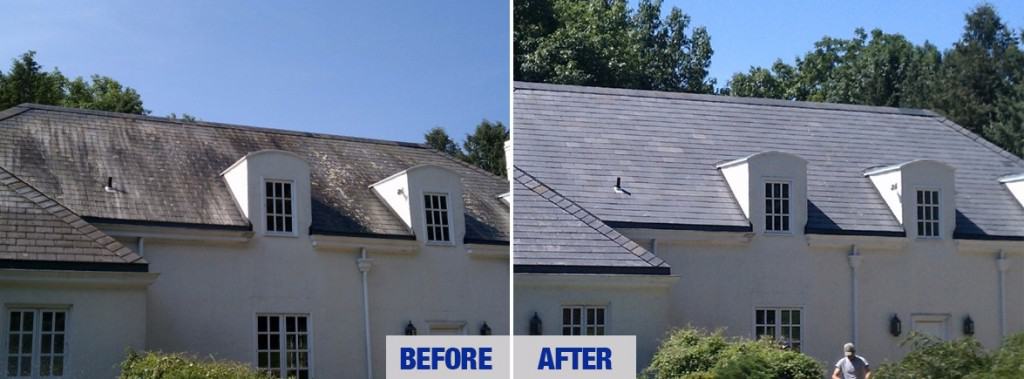 roof before and after pressure washing