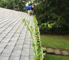 Gutter Cleaning in Lehigh Valley, PA by Grime Fighters